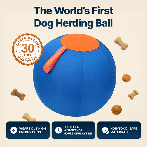 RowdyBall Viral Herding Ball
