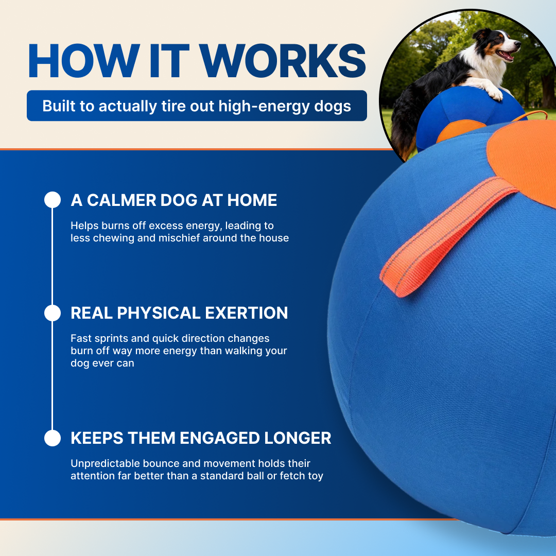 RowdyBall Viral Herding Ball