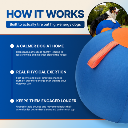 RowdyBall Viral Herding Ball