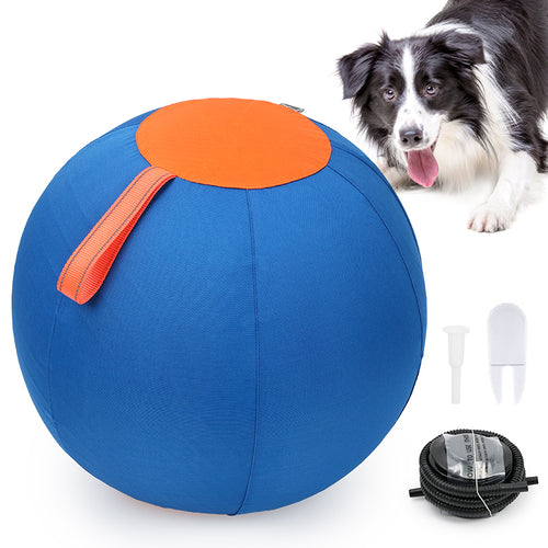 RowdyBall Viral Herding Ball